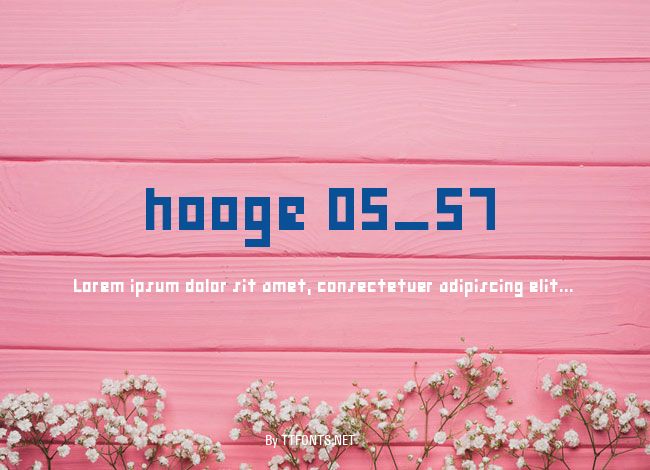 hooge 05_57 example