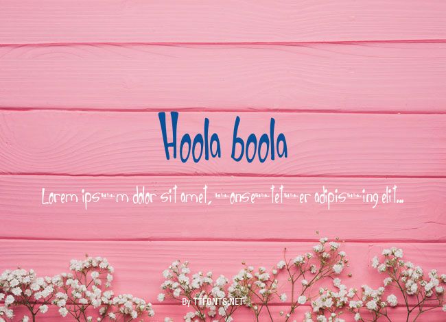 Hoola boola example