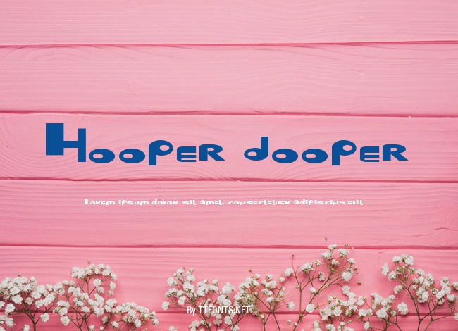 Hooper dooper example