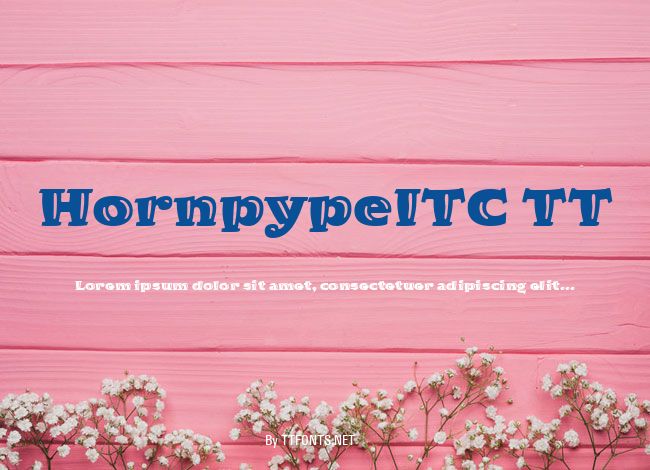HornpypeITC TT example