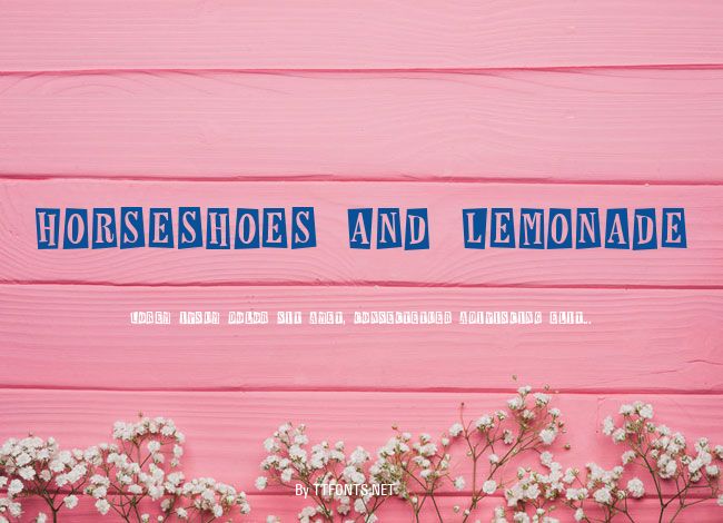 Horseshoes And Lemonade example