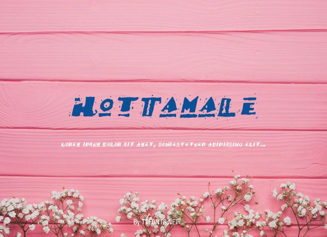 HotTamale example