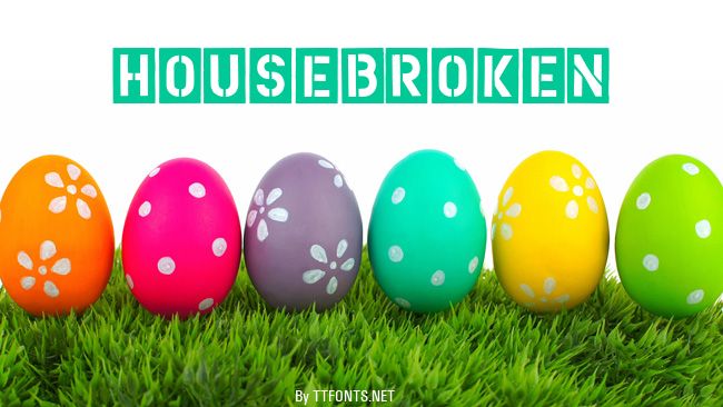 HouseBroken example