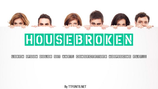 HouseBroken example