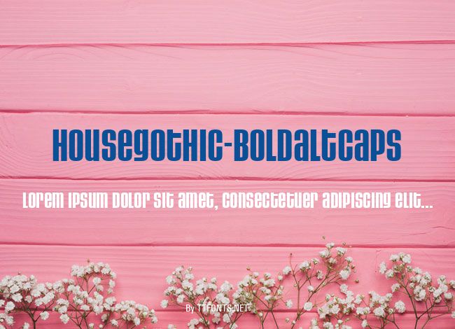 HouseGothic-BoldAltCaps example