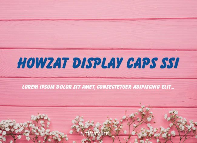 Howzat Display Caps SSi example