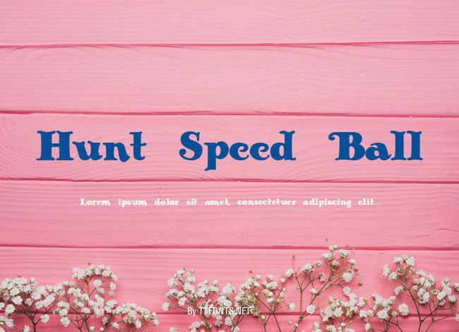 Hunt Speed Ball example