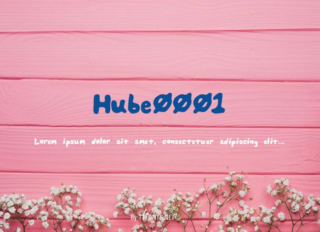 Hube0001 example