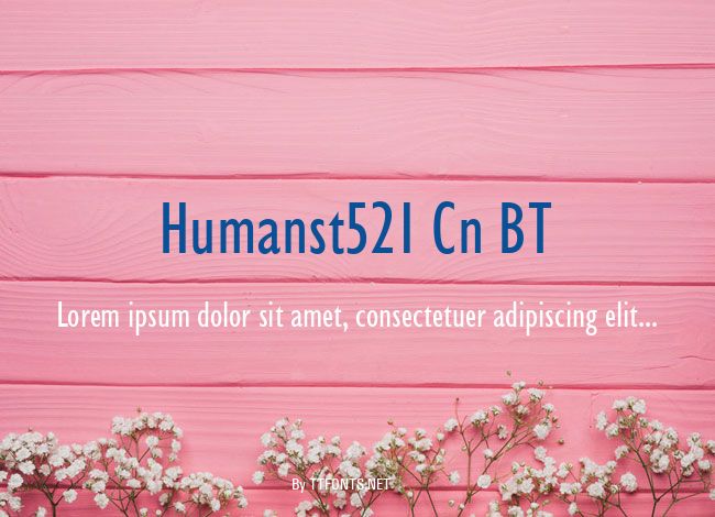 Humanst521 Cn BT example