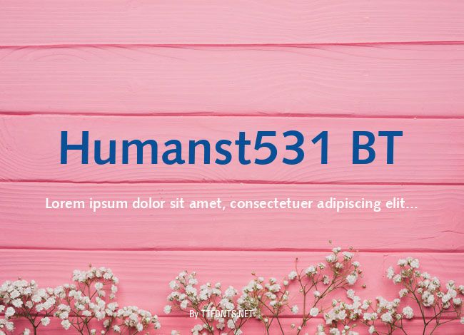 Humanst531 BT example
