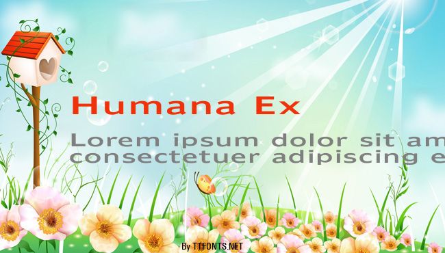 Humana Ex example