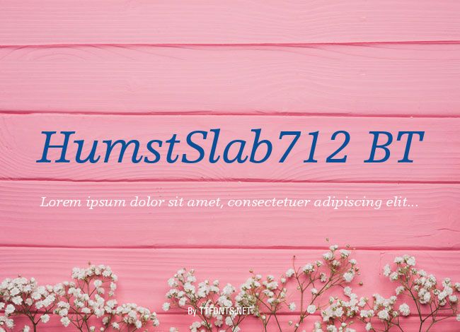 HumstSlab712 BT example