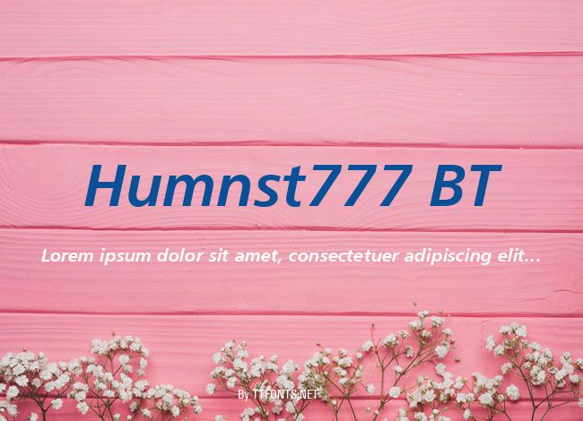 Humnst777 BT example