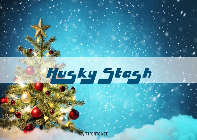 Husky Stash example
