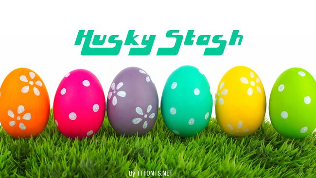 Husky Stash example