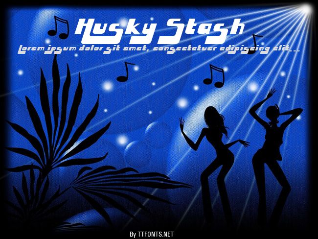 Husky Stash example