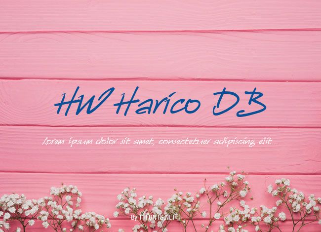 HW Harico DB example