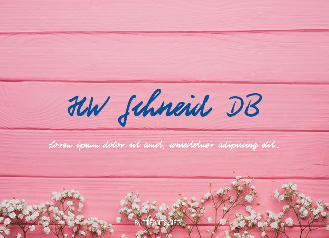 HW Schneid DB example