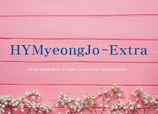 HYMyeongJo-Extra example