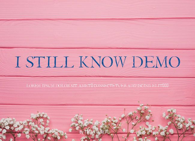 I Still Know DEMO example