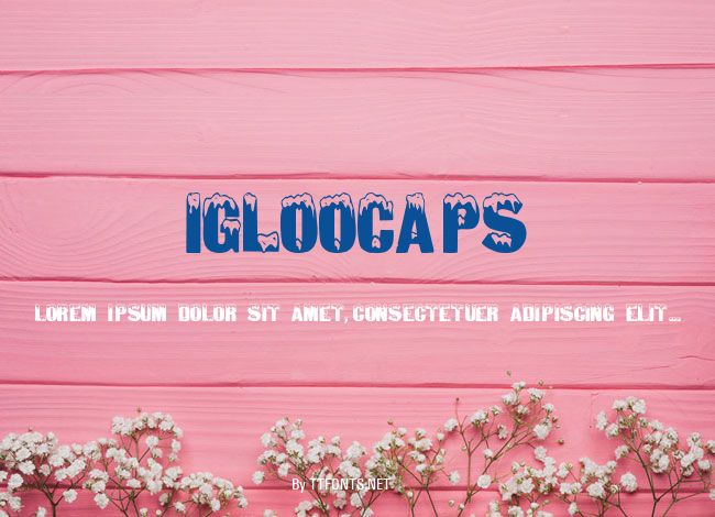 IglooCaps example
