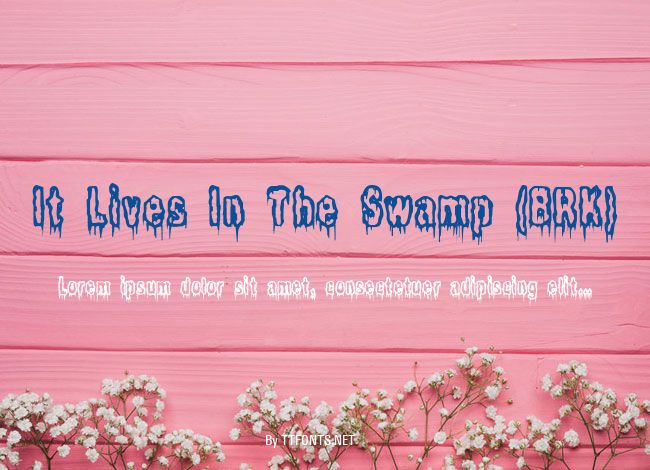 It Lives In The Swamp (BRK) example