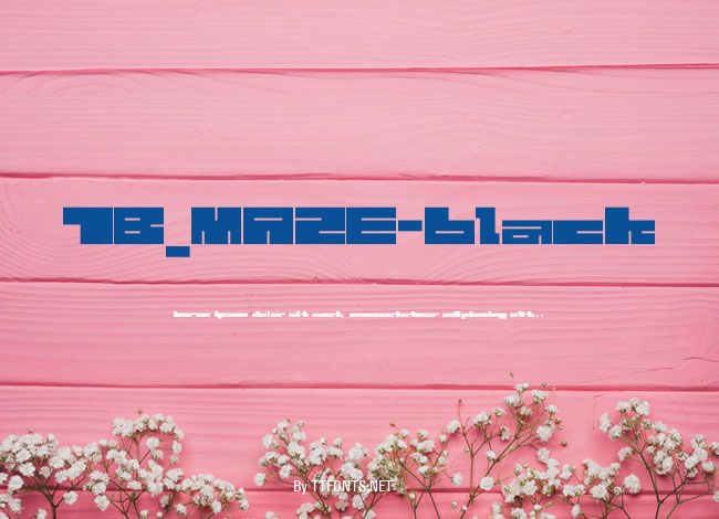 1B_MAZE-black example