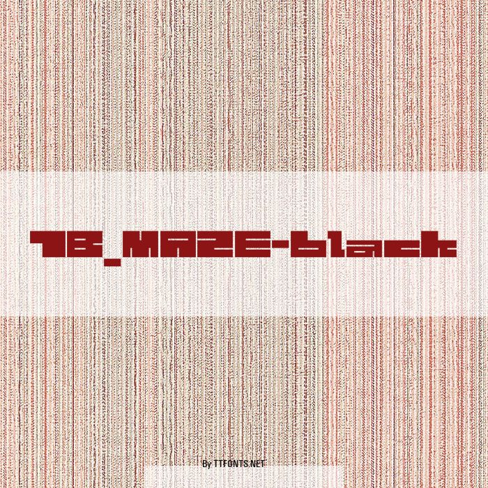 1B_MAZE-black example