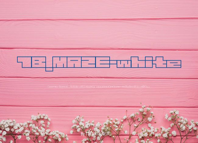 1B_MAZE-white example
