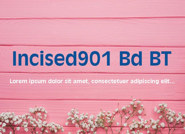 Incised901 Bd BT example