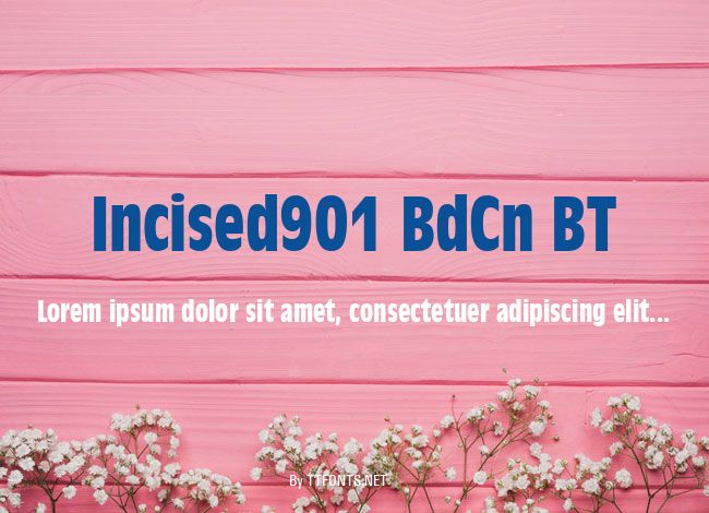 Incised901 BdCn BT example