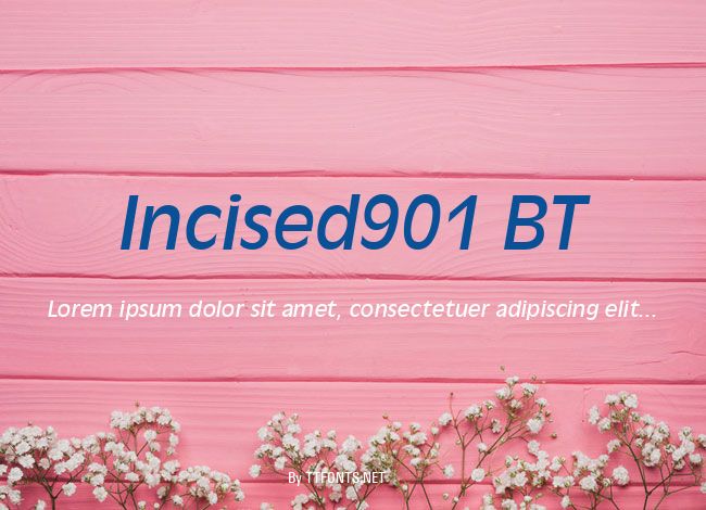 Incised901 BT example