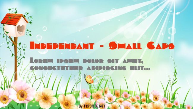 Independant - Small Caps example