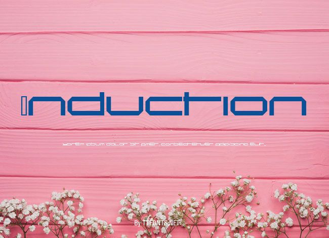 Induction example