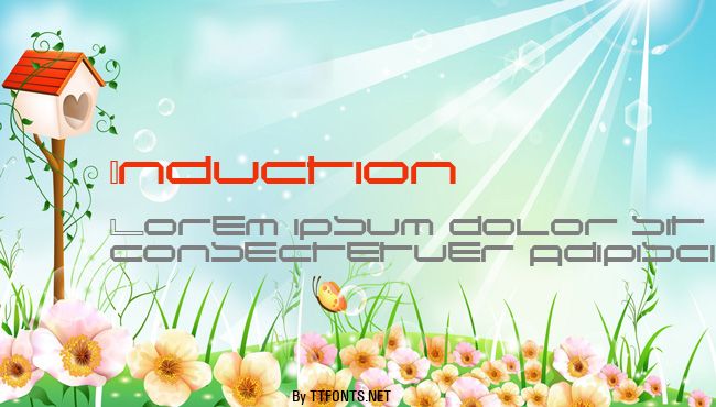 Induction example