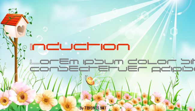 Induction example
