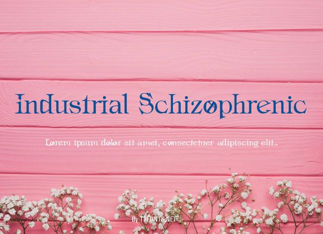 Industrial Schizophrenic example