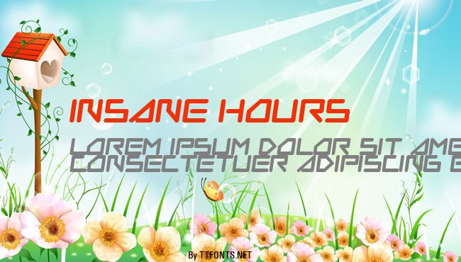 Insane Hours example
