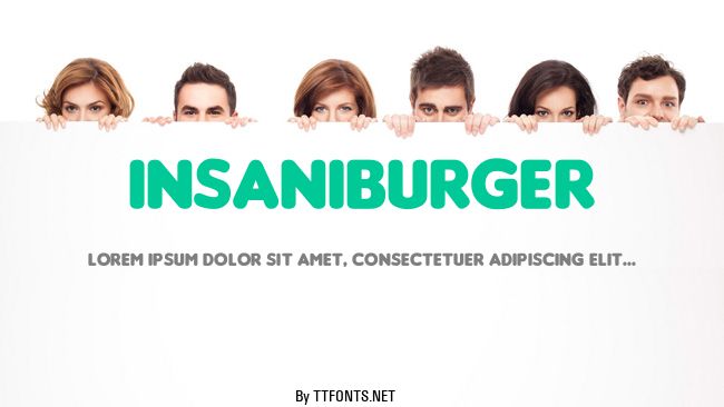 Insaniburger example