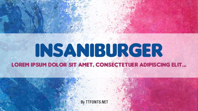 Insaniburger example