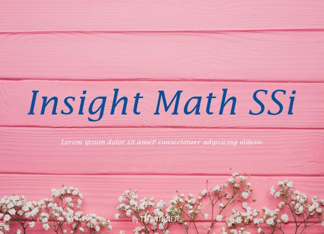 Insight Math SSi example