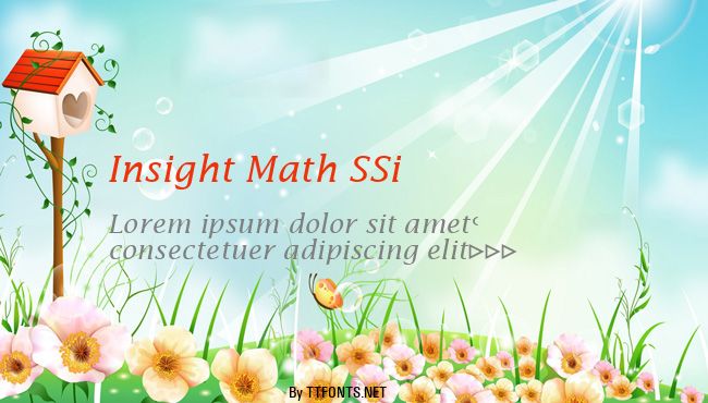 Insight Math SSi example