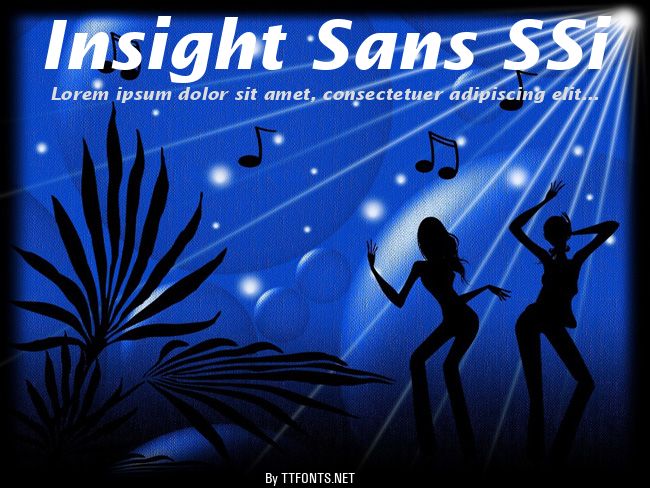 Insight Sans SSi example