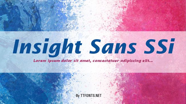 Insight Sans SSi example