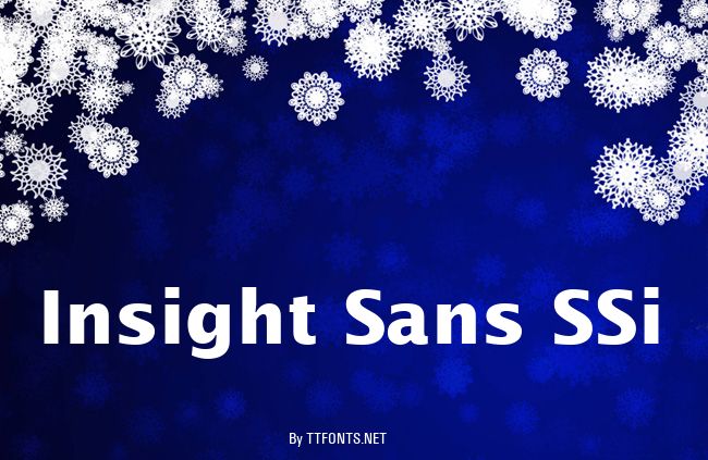 Insight Sans SSi example