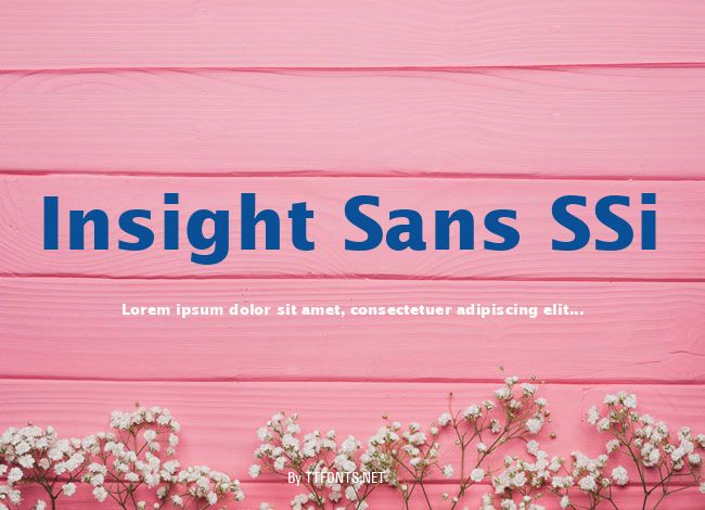 Insight Sans SSi example