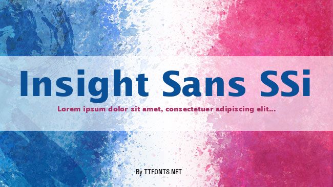 Insight Sans SSi example