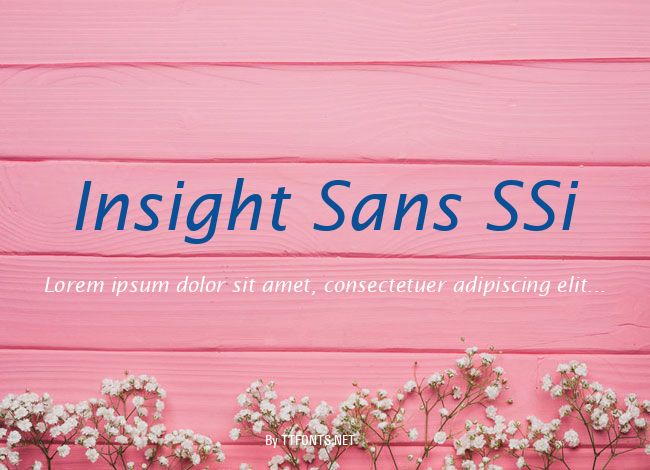Insight Sans SSi example