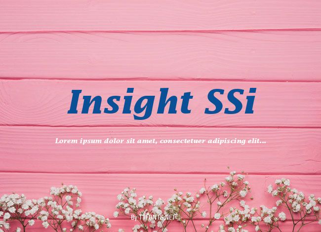 Insight SSi example