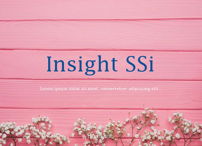 Insight SSi example
